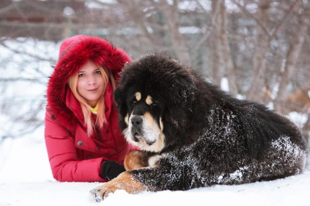 Семен