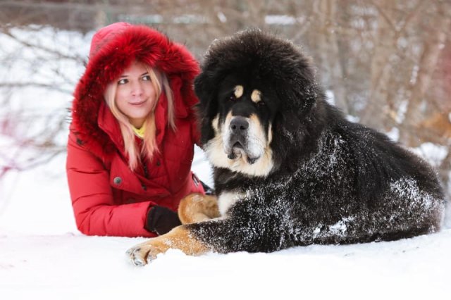 Семен
