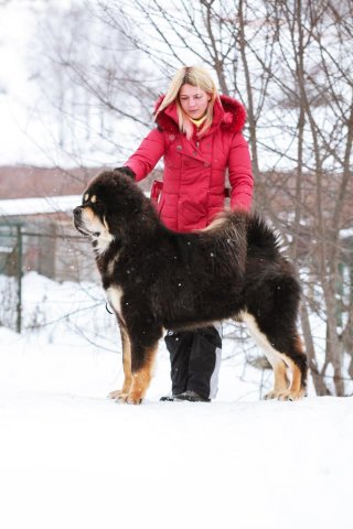 Семен