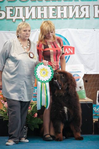 Лева