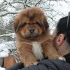 Ильхан