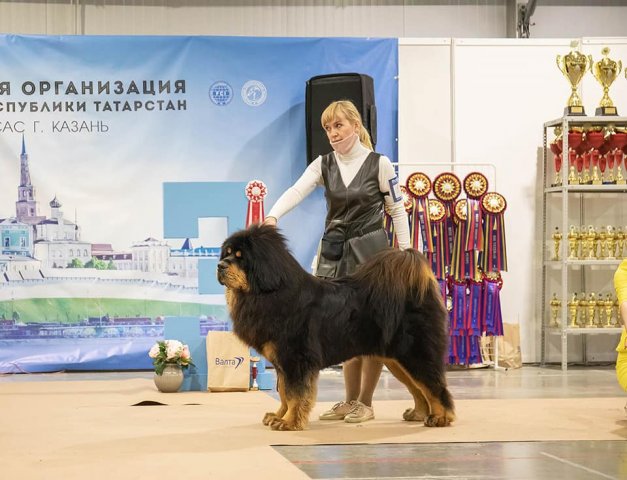 Наследие Тибета Фреда