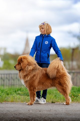 Булка