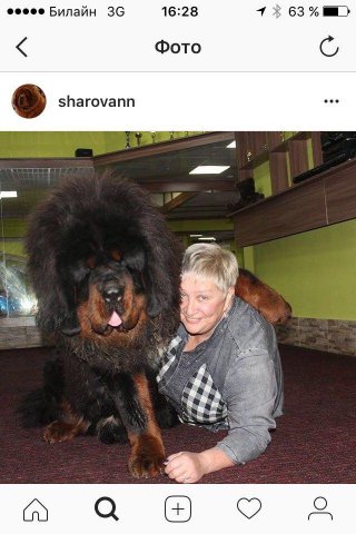 Наши выпускники