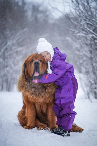 Наши выпускники