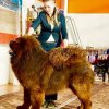 Наши выпускники