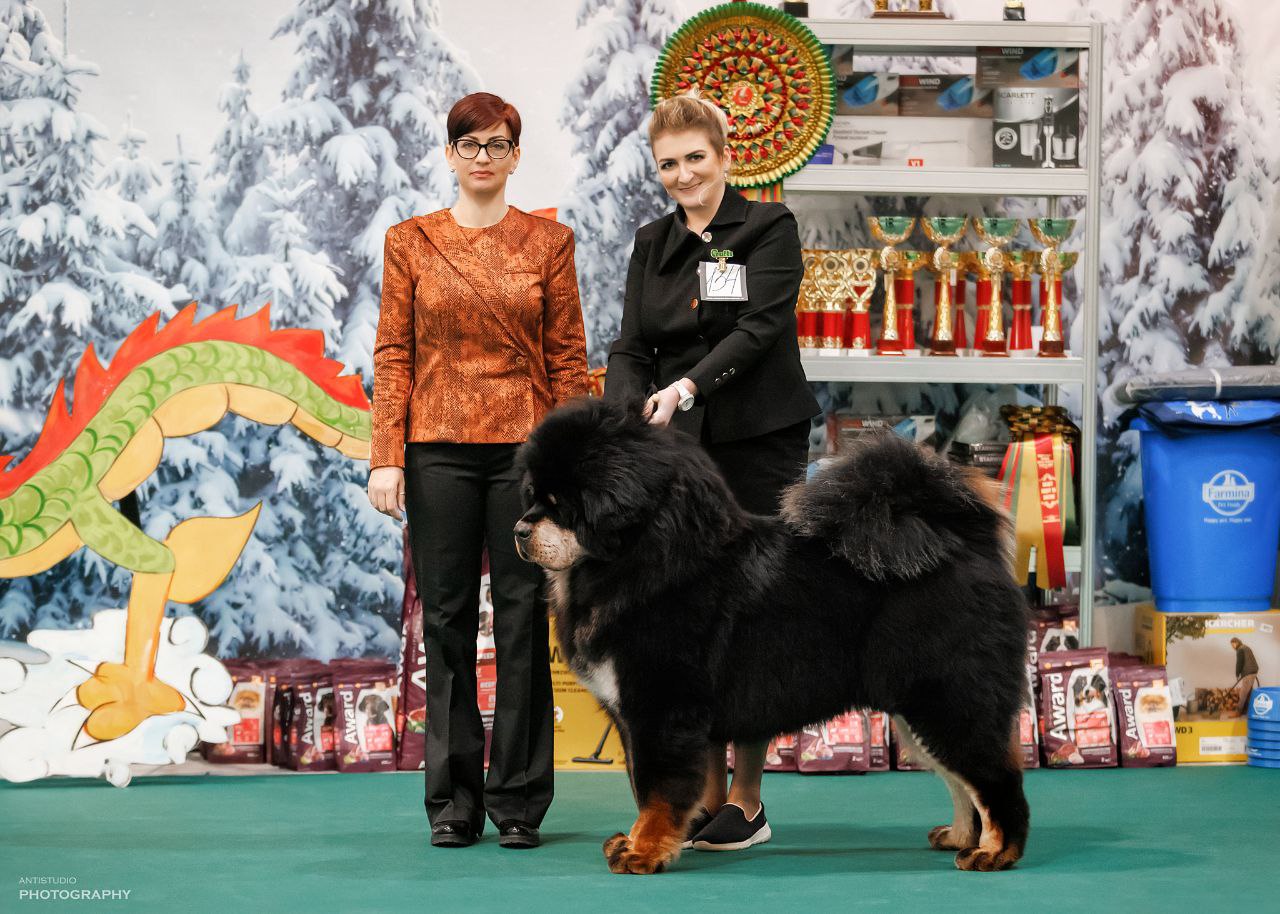 09.02.2024 Зимний Кубок Москвы