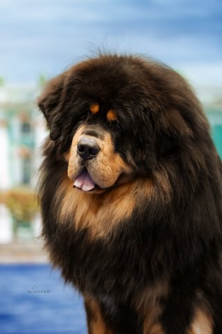 Кекс