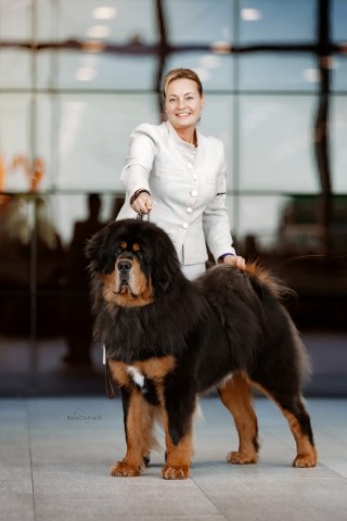 КЕКС