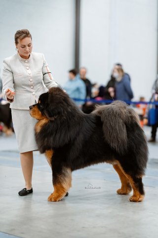 КЕКС