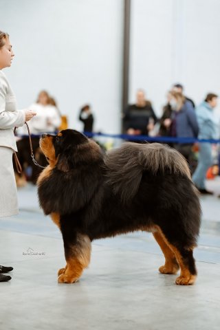 КЕКС